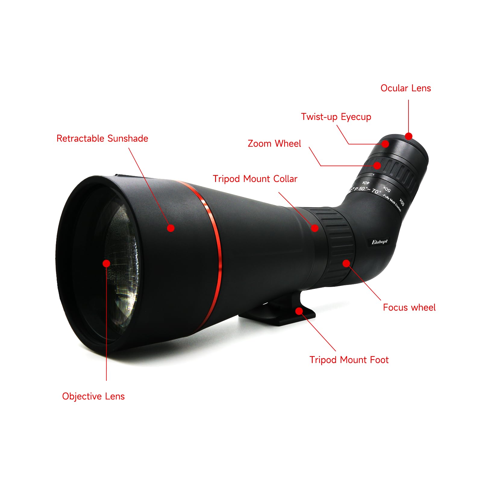 Amazon.com: 20-60x80 ED Spotting Scope - Triple ED Glass, 20-60x